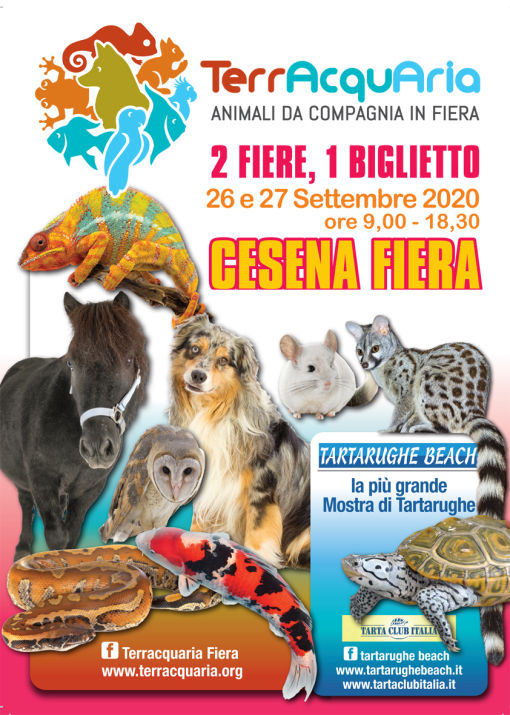 Flyer A3